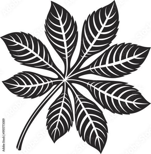 Black and white of a leaf with a stem and veins nature