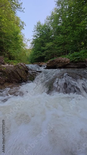 Underwater view of mountain forest river with plants and tree logs. Nature conservation ecology ecosystems aquatic wildlife drinking water treatment pollution concept