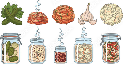 Homemade vegetable fermentation process set with cucumbers cabbage garlic pickles in glass jars probiotic food preservation vector illustration