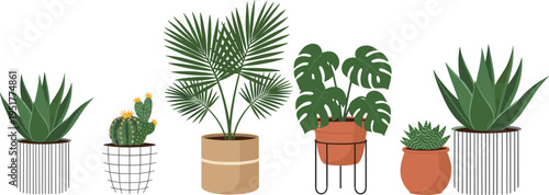 Indoor potted plants collection houseplants cactus monstera palm flat vector cad drawing illustration modern home decor botanical design set