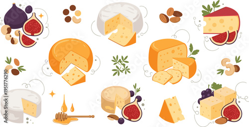Cheese Illustration Set with Different Types, Slices, Honey, Nuts and Figs, Gourmet Food Collection for Appetizer, Dairy Products and Culinary Design