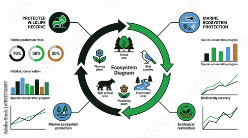 Ecosystem diagram showing protected wildlife reserve and marine ecosystem protection