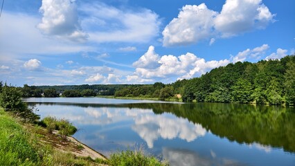 Plexiglas schilderij Reflectie Zomers bos langs zonnige meeroever  © Balser