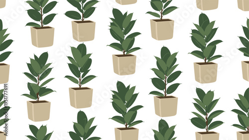 Seamless houseplant pattern displays rows of tall green rubber plants in square beige pots against a clean white background.