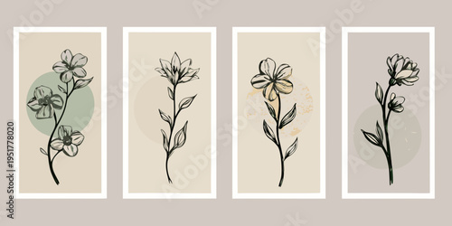 Four botanical floral illustrations arranged in a vertical rectangular format