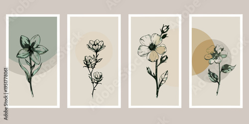 Four botanical illustrations of flowers in a minimalist rectangular format