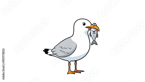 Illustration of a white and grey seagull standing while holding a small fish in its orange beak on white background.