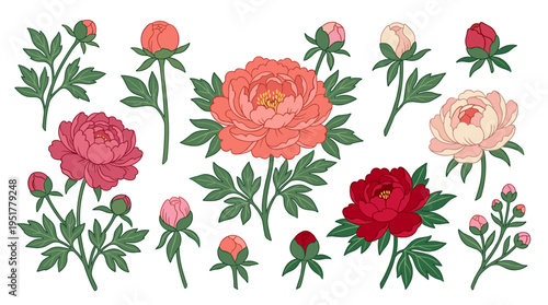 A collection of blooming peonies, Japanese flower buds, and plants form a stunning bouquet, showcasing Japan's retro-style blossoms in realistic, hand‑drawn botanical vector art against a white