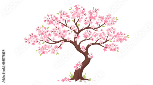Cherry blossom tree: a Japanese plant whose sakura blooms adorn its branches and trunk, creating a beautiful spring scene in Japan, rendered as a flat vector illustration on a white background