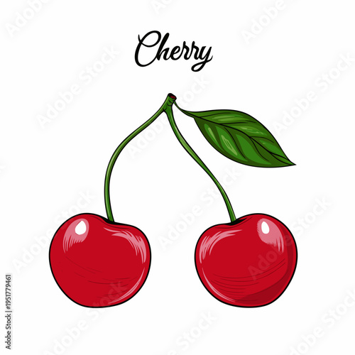 A detailed illustration of two ripe cherries with a green stem and leaf