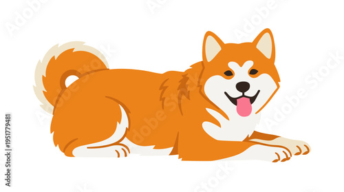 A resting Akita‑Inu from Japan, an endearing Asian pup with orange fur, its tongue dangle, depicted in a flat colored vector on a white backdrop