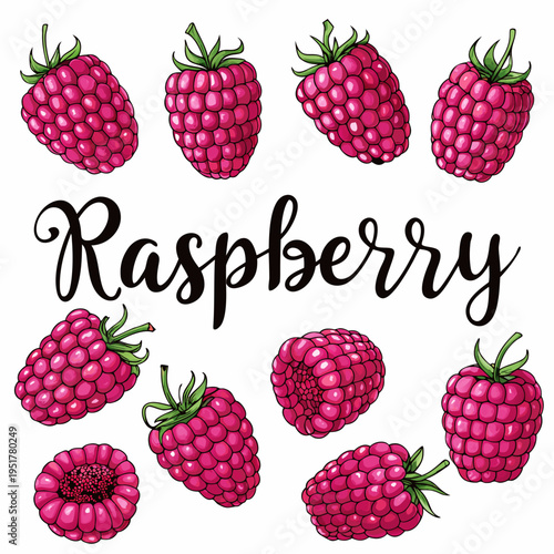 A colorful illustration of fresh raspberries with script lettering