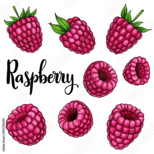 A colorful illustration depicts several ripe raspberries and the word raspberry
