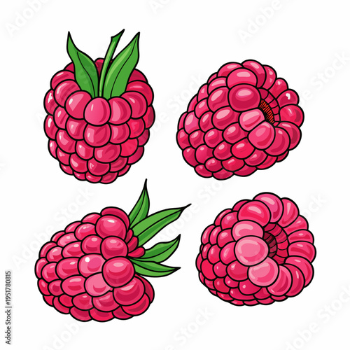 Four vibrant raspberries are depicted in a colorful cartoon style illustration