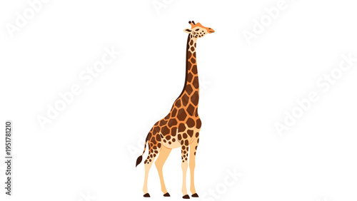 Tall giraffe illustration with brown patches and long neck standing elegantly against a plain white background for animal nature books.