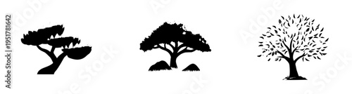 Epicenter of Life: A Digital Tree of Knowledge