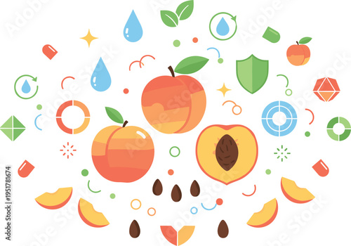Peach Fruit Illustration Set with Whole and Sliced Pieces, Seeds, Leaves and Abstract Icons, Fresh Organic Food Elements for Healthy Design Collection