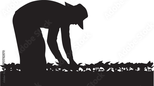 Farmer working in field vector silhouette illustration with crops and agriculture line art