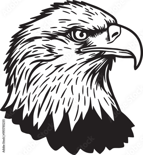 Close-up illustration of a majestic eagle's head, profile view, detailed feathers and sharp beak, vector art, symbol of freedom and power, national emblem, bird of prey graphic