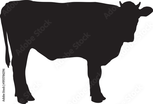 Silhouette einer Kuh, Schwarzes Icon, ohne Hintergrund, freigestellt