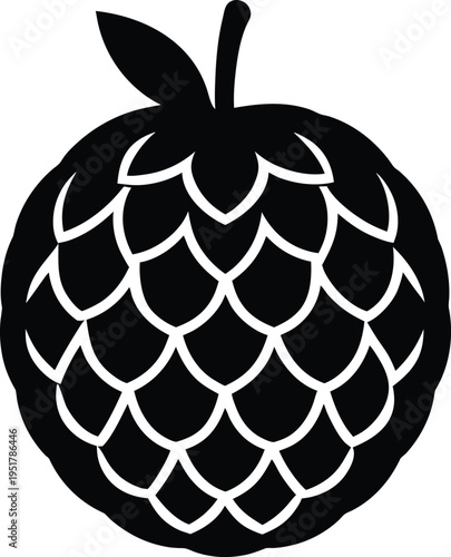 Custard apple silhouette vector art illustration