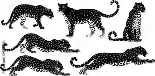 Spotted leopard silhouettes set in dynamic poses, wild big cat vector collection, detailed jungle predator illustrations, elegant exotic animal design pack