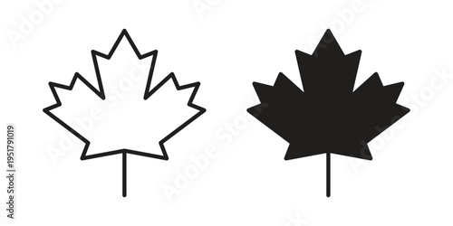 Maple leaf icon linear vector outline, symbol logo design style