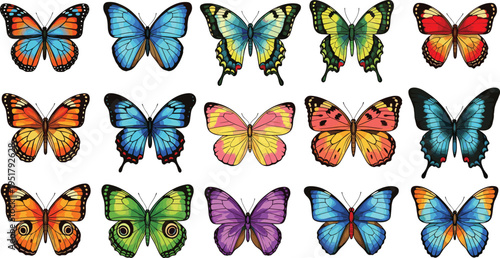 Colorful butterfly species collection with vibrant wing patterns isolated insect set detailed nature wildlife vector illustration