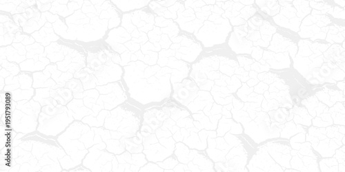 Subtle organic texture background, repeating rounded shapes in light gray on white, abstract natural pattern for design, graphic background, minimal background