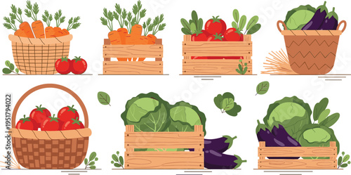 Fresh vegetables in baskets and crates vector illustration set with carrots, tomatoes, cabbage and eggplant, organic farm produce collection design