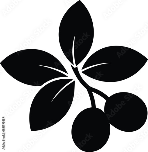 Natal Plum Flat Icon Style Silhouette Vector Art Illustration