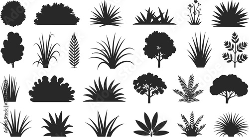 Black and white botanical line collection of leaves and flowers isolated on white background botanical leaves