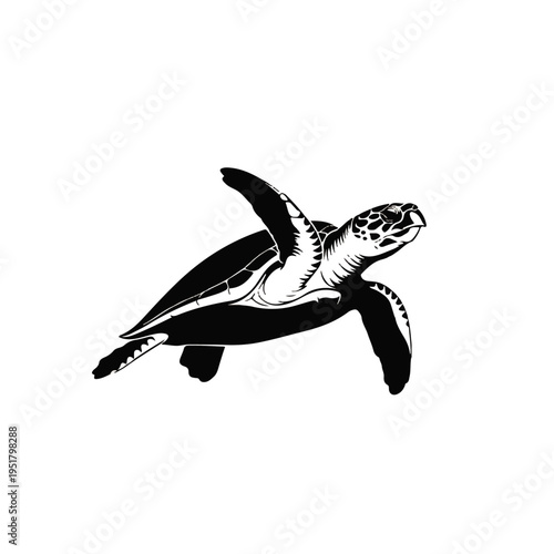 Silhoutte Sea turtle : A black and white depiction of a sea turtle gracefully gliding through the ocean's depths, a symbol of longevity and tranquility.