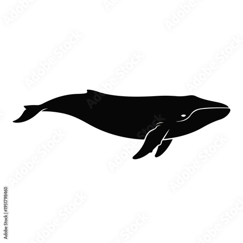 Majestic Whale Silhouette: A striking silhouette of a whale gracefully glides through the ocean depths, a symbol of marine life.