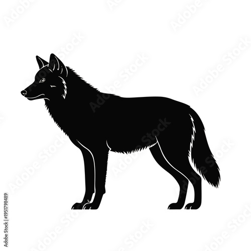 Silhouette of a Wolf: A stark silhouette of a solitary wolf stands poised, its gaze fixed, embodying the spirit of the wild and the mystery of the wilderness.