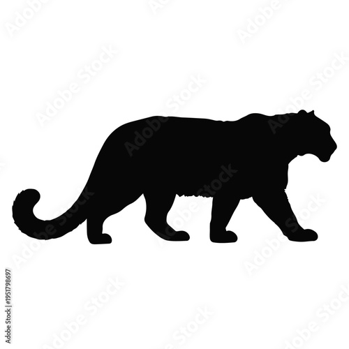  Leopard Silhouette vector