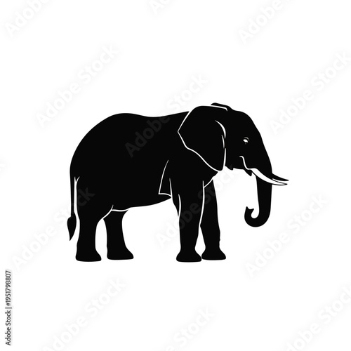 Elephant Silhouette vector