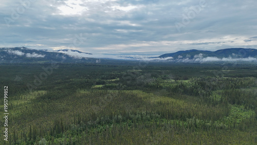 Quadro su tela Expansive view of the vast boreal forest in stevens village, alaska, stretching