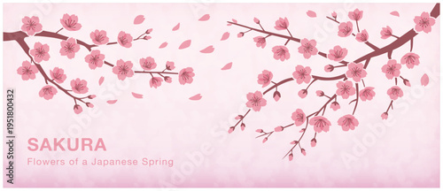 桜ヘッダーデザイン｜春の横長バナー・花びら舞う和風フレーム素材