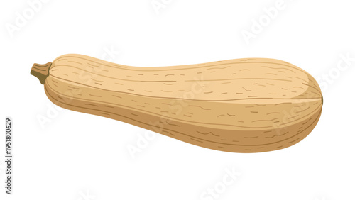 Simple and clear illustration of a single elongated butternut squash, highlighting its smooth, pale orange skin and classic shape, perfect for autumn.