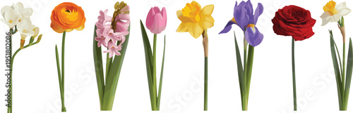 Vibrant tulips in various colors standing in slender green vases against a white background flowers