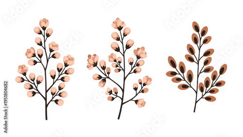 Elegant collection of three botanical branches, two adorned with delicate pink buds and one featuring rich brown leaves, symbolizing natural growth.