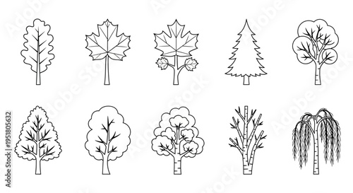 A collection of various tree illustrations.