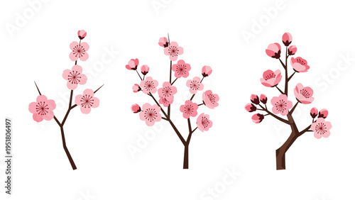 Elegant vector illustration showcasing three delicate branches of pink cherry blossoms, symbolizing spring and renewal, on a white background.