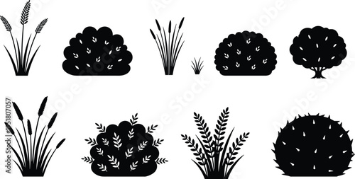 Bush and grass silhouettes collection with shrubs reeds and garden plants isolated vector set for landscaping design and decorative elements