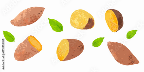 Assorted sweet potatoes with vibrant colors and accompanying green leaves