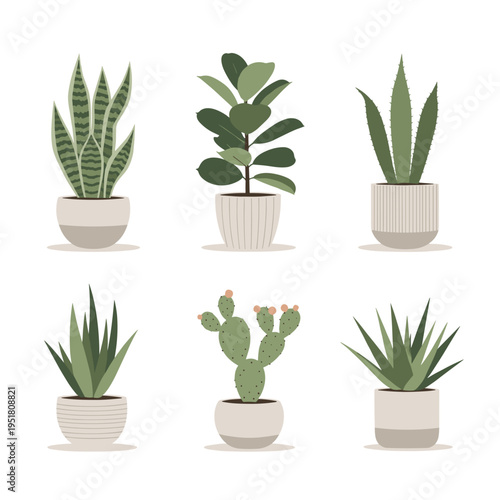 Minimalist flat vector illustration of various green houseplants in white pots
