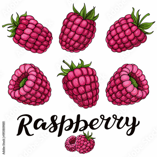 A colorful illustration depicting a collection of fresh ripe raspberries