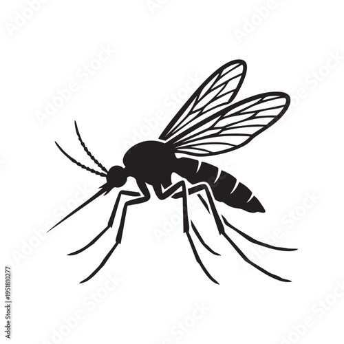 Monochromatic Silhouette of a Mosquito a Common Insect Vector Symbolizing Disease Control and Summer Pests with Detailed Wing Structure and Antennae on a Clean White Background