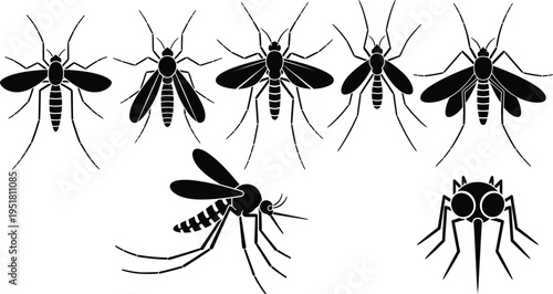 Mosquito silhouettes flying and resting poses. 